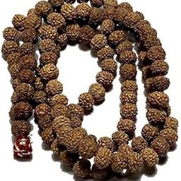 Akshetri®, 100% Natural & Original 108 + 1 Indonesian 7 Mukhi Rudraksha Mala Lab Tested with Certificate (Weight 17 Gm to 23 Gm, Size 4 MM to 7 MM) with Gangajal and Chandan from Kashi-image-34