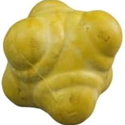 Gray-Nicolls Reaction Ball, Yellow-image-61