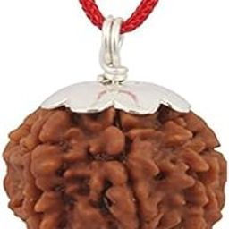 7 Mukhi Faced Indonesia Rudraksha Natural & G R G L Certified Astrological Seven Mukhi Faced Rudraksha Positive Effect Unisex Both for Men & Women-picture-4