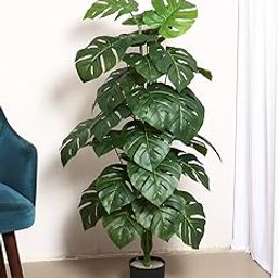 Home Bloom Artificial Monstera Plant with Pot for Home Decor (120 cm Tall, Green)-image-12