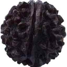 Ek Mukhi Rudraksha Nepali Lab Certified एक मुखी रुद्राक्ष ओरिजिनल नेपाल गोल दाना Real & Natural One Face Ruthratcham With Silver Capped & Red Thread For Men & Women Blessed By God-image-30
