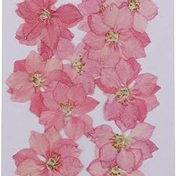 CALANDIS® 12 Pcs Pressed Flowers Dried Larkspur Real Pressed Dried Flowers DIY Pink | Crafts | Home Arts & Crafts | Floral Crafts | Dried Botanicals & Potpourri | Dried Flowers-image-21
