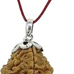 2 Mukhi Certified Natural Rudraksha Bead from Nepal with Silver Capping Lab Tested Original Rudraksh for Men & Women Spiritual Healing Wood Bead-image-97