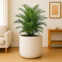 Bigsmall Docheio Greek Designed Sophisticated Column Planter with Highly Durable Polymers Lightweight Indoor Outdoor Flower Pots (Docheio-White Stone, 11 Inch)-23