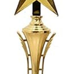 Be Win Winner Golden Fiber Star Trophy for Sports, Event & Functions-image-1