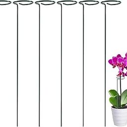 Inshreys Pack of 6 Plant Stake Support Garden Single stemmed Plant Support Hoops Plant Prop for Flowers Orchid Tomatoes Peony Lily Rose Green 16 inches-image-3