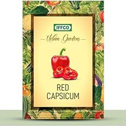 IFFCO Urban Gardens - Red Capsicum 40 Seeds, 600 mg - GIY Seeds for Home Gardening & Kitchen - Red Bell Pepper - Lal Shimla Mirch ke Beej-image-50
