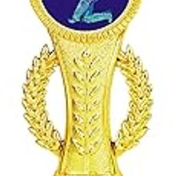 Gifts Bucket Cricket Match Trophy Man of The Match Star Award Trophy_9.75 x 3.50 x 2.50 inches-picture-18