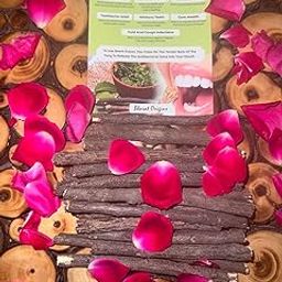 Natural Organic Neem Datun Sticks | 20 Pcs Herbal Teeth Cleaning Twigs | Ayurvedic Neem Chew Sticks for Oral Care | Bad Breath & Gum Health | Plastic-Free Toothbrush Alternative | Eco-Friendly-image-84