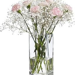 Incrizma - Imported Square Glass Vases 18 cm Height, LxW - 10x8 cm-image-46
