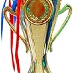 THEPRINTSHINE Shiny Godlen Trophies with Plastic Base Big Size Trophies for Winners appreciations Event Occasion Award (Award_5)-image-0