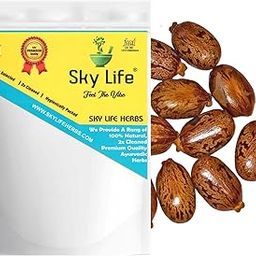 Sky Life® Castor Seed - 100 Grm Arand Seed - Arandi kee Beej - Atandi Beej - Erand Beej - अरंडी बीज-23