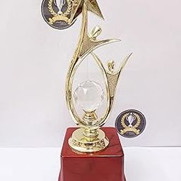 Trophy Golden Star Diamond-picture-32