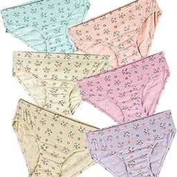 Women's Pack of 6 Full Coverage Hipster Panty 100% Super Combed Cotton Fabric with Inner Elastic Waistband Multicolour-picture-53