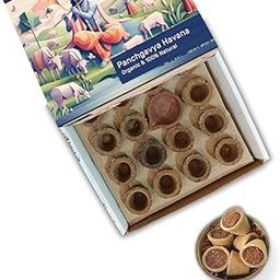 VinodRatna Panchgavya Dhuni Cups (Empty), Sambrani Dhoop Cups (100 Pieces) (3.5CM, 100, Count)-image-64
