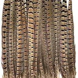 Premium Long Golden Yellow Black Striped Tail Feather Quills (40-42 Cm) (3 Pieces)-image-24
