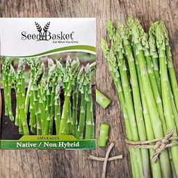 ASPARAGUS Seeds for Home Kitchen and Vegetable Gardening | 50 Seeds | Best in Germination | Free Growing Instruction Manual-image-77