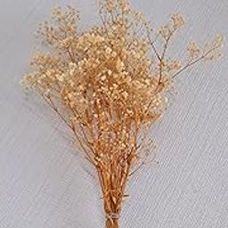 Idika Living Baby Breath - Handcrafted Dried Flower Bouquet, Artificial Floral Arrangement for Home Decor, Wedding, Party, Pre-Assembled, Eco-Friendly, Sustainable, Rustic Decor, 7-8 Stems-image-89