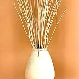 RUKDA 70cm Long Real Dried White Curly Willow Branches – Elegant Natural Stems for Vases, Home & Office Décor, Weddings, Events, and DIY Crafts (10 Stem)-10