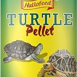 Turtle Pellets 100gm (Premium Turtle Food) Daily Nutrition Sticks with Spirulina and Stabilised Vitamin C | Suitable for Turtles of All Life Stages-image-53