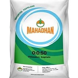 MAHADHAN Sop (00:00:50) In 1 Kg Packing, Powder-image-11