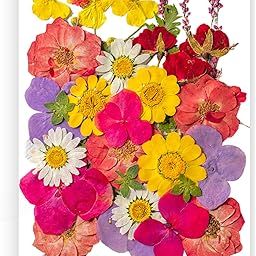 35pcs Dried Pressed Flowers for Resin Molds,Real Natural Pressed Flowers for DIY Art Crafts,Candle Making, Nails Décor,Soap Making, Phone Case-image-1