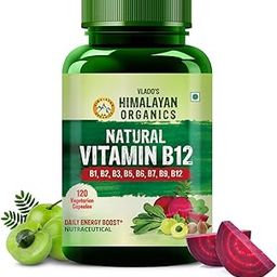 Vlado's Himalayan Organics Plant Based Vitamin B12 Supplement | B1,B2,B3,B5,B6,B7,B9,Moringa| Boost Energy Level | Good For Digestion And Nerve Health | Glowing Skin For Men & Women - 120 Vegetarian Capsules-32
