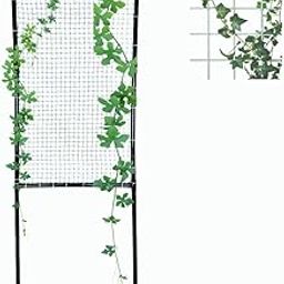 Invelligen Garden Trellis 6 Feet Balcony Privacy Screen with Creeper Support Plant Support Poles and Stakes Pack of 1-image-47