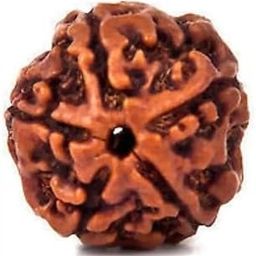 5 mukhi Rudraksha Natural bead & Certified | Astrological Five Mukhi/ 5Faced Rudraksha bead Unisex Both for Men & Women-picture-41