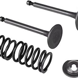 Powered by GX35 Brush Cutter Parts Valve Set GX35 for All Type Earth Auger, Brush Cutter, Power spayer Engines Lawn Mower Parts 4 Strock Brush Cutter-0