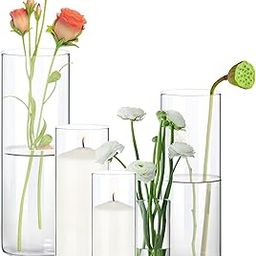 Fgail Clear Glass Vases for Centerpieces, Cylinder Vase Set of 5, 4,6,8,10,12 Inch Tall Flower Vase for Home Decor, Flower Vase for Table Decorative & Hurricane Floating Candle Holders-picture-3