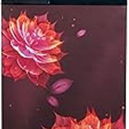Havells-Lloyd Refrigerator Double Door 283L 2Star Inverter Sakura Red Toughened Glass/3N GLFF292ASRT1PB-image-47