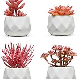 Nordik Set of 4 Desk Plants for Office Desk Decor for Women, Indoor, Living Room, Bedroom and Home Decor – Pink Faux Succulents in White Geometric Ceramic Planters-5