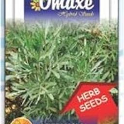 Artemesia Herb Herb Seeds Kitchen Garden Packet-image-98
