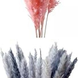 UJEAVETTE 30x Dried Pampas Grass Reed Flowers Bunch Home Party Gift Boho Decor-image-27