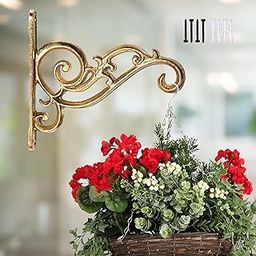 ecofynd Metal Wall Hook Hanging Plant Bracket (Golden)-image-22
