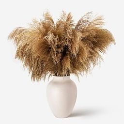 Small Pampas Grass Short Fluffy Natural Dired Pampas Grass Bouquet Home Decor Flower Arrangement, 50 Pcs-image-23