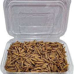 Premium Dried Black Soldier Fly Larvae, High Protein Chicken Feed, Optimal Poultry Nutrition (100 Grams)-image-34