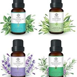 Mystic Pure Ayurveda Rosemary, Tea Tree, Lavender, Peppermint Essential Oils - For Promotes Hair Growth, Dandruff and Improve Hair Texture Combo Set Of 4-15ml-14