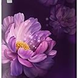 Whirlpool 192 L 4 Star Direct Cool Single Door Refrigerator with Intellisense Inverter Compressor (215 IMPRO ROY 4S Inv PURPLE PEONY-Z)-image-64