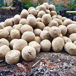 Marksman® Seed Balls | Just Throw & Grow | Tree Seed Bombs | Seed Balls Return Gift | Seed Balls of Trees (Guava Seed Balls, 200 Pieces)-image-35