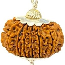 Unique 20 Mukhi Rudraksha Original Certified by Lab Outstanding Nepali Ruthratcham Pendant AA++ 20 Face Bees Mukhi Rudraksh For Men & Women 20 मुखी रुद्राक्ष ओरिजिनल-image-5
