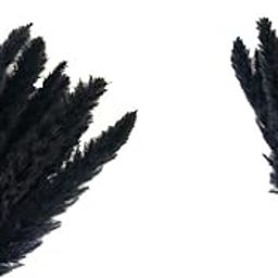 bnf® 30x Dried Pampas Grass Phragmites Reed Flower Bunch Home Wedding Decor Gifts | Home Decor-image-48