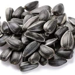 Star-Natural Black Sunflower Seeds -All Life Stages for Birds Pack of 1 Kg-picture-4