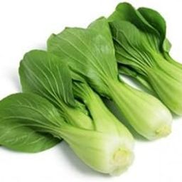 Golden Hills Farm Green Pakchoi 500-502 seeds-image-12