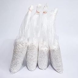 White Button Mushroom Spawn/Seed (200 gm + 2PP Grow Bags) - First Generation White Mycelium Button Mushroom Spawn for Home Garden-image-66