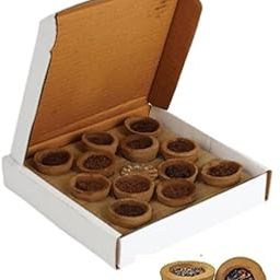 Sagar Florist Organic Sambrani Hawan Cups - 36 Pcs, Dhoop Cups for Pooja, Home & Festivals Jatamassi, Loban, Guggal, Cow Dung-image-97