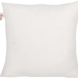 Home-The Best is for You Micro Fiber Cushion Insert Extra Soft, White (Pack of 1, 20x20 Inch)-image-35