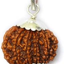 14 Mukhi Rudraksha Original Certified 24mm With Capping 14 Mukhi Rudraksha Nepali 14 मुखी रुद्राक्ष 14 Face Rudraksha Original Certified Nepal Fourteen Mukhi Rudraksha Original 14 Mukhi Rudraksha Original Nepal By Certified Gems-31