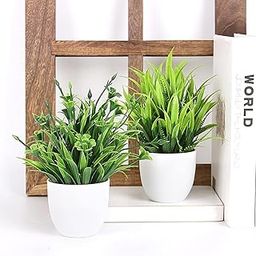 Dekorly® Artificial Plants Small Fake Potted Plants, Mini Eucalyptus Potted Faux Decorative Grass Plant with White Pot for Home Decor, Indoor, Office, Desk, Shelf, Table Decoration (Green-2)-21